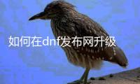 如何在dnf发布网升级跳任务