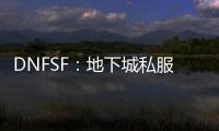 DNFSF：地下城私服的神秘面纱与独特魅力