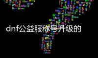 dnf公益服称号升级的终极指南